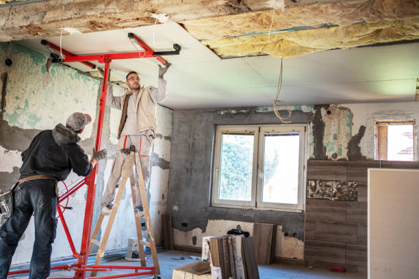 Best Cellulose Insulation in Woodville, WI