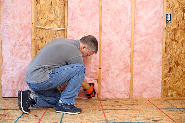 Best Spray Foam Insulation in Woodville, WI